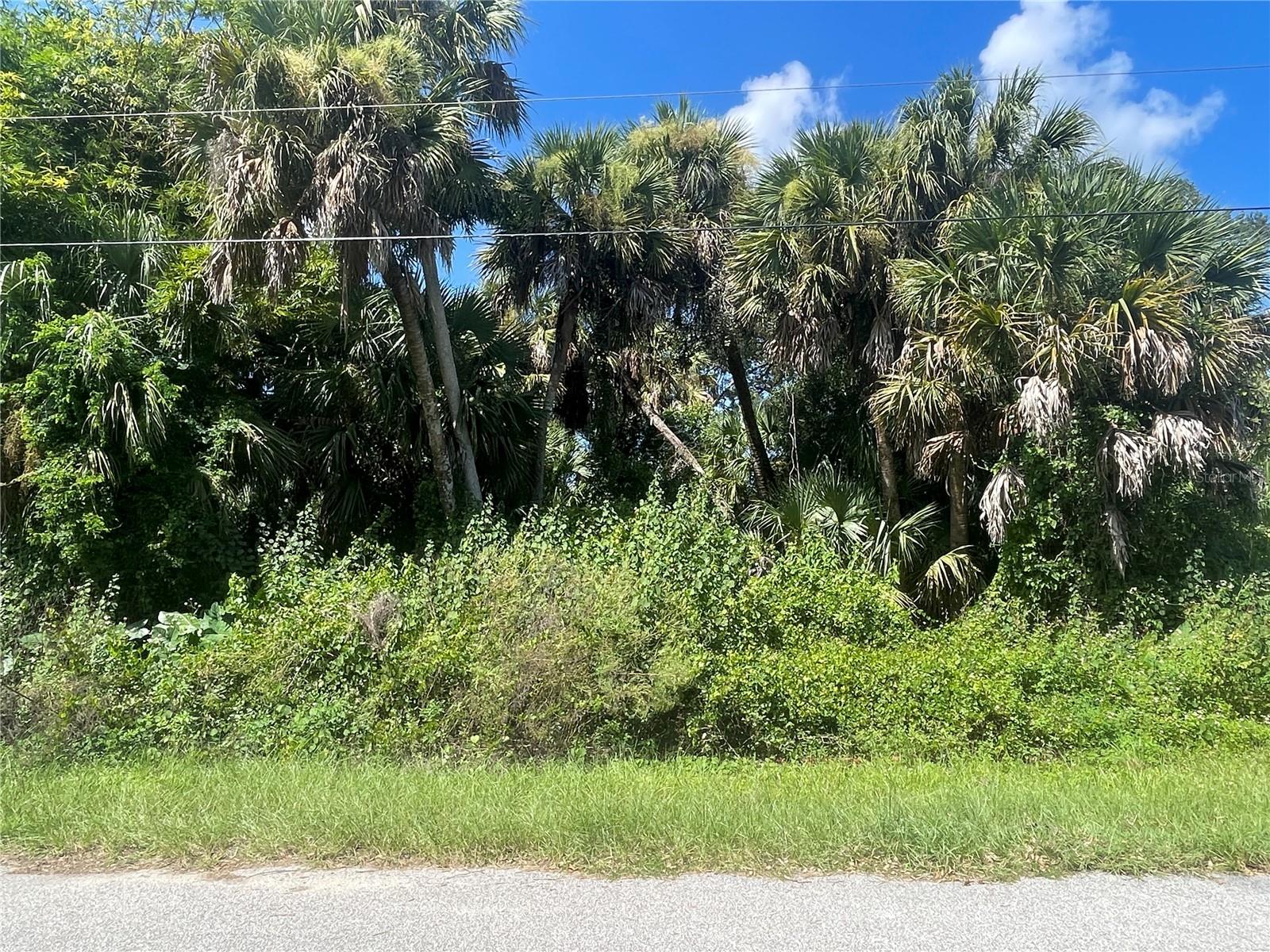 Snyder   (Lot 6 Block 1019) St, North Port, FL 34288