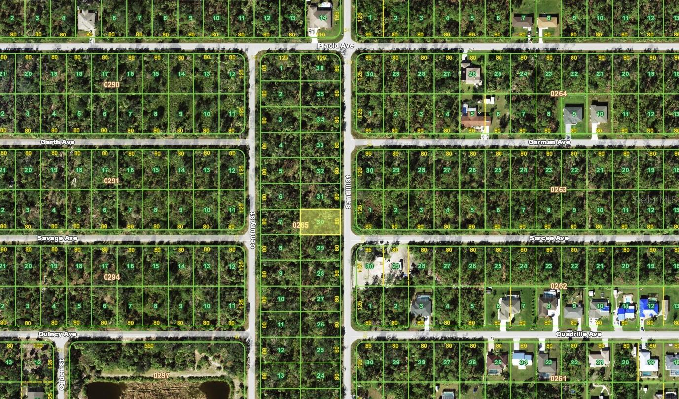 3319 Santilli St, Port Charlotte, FL 33948