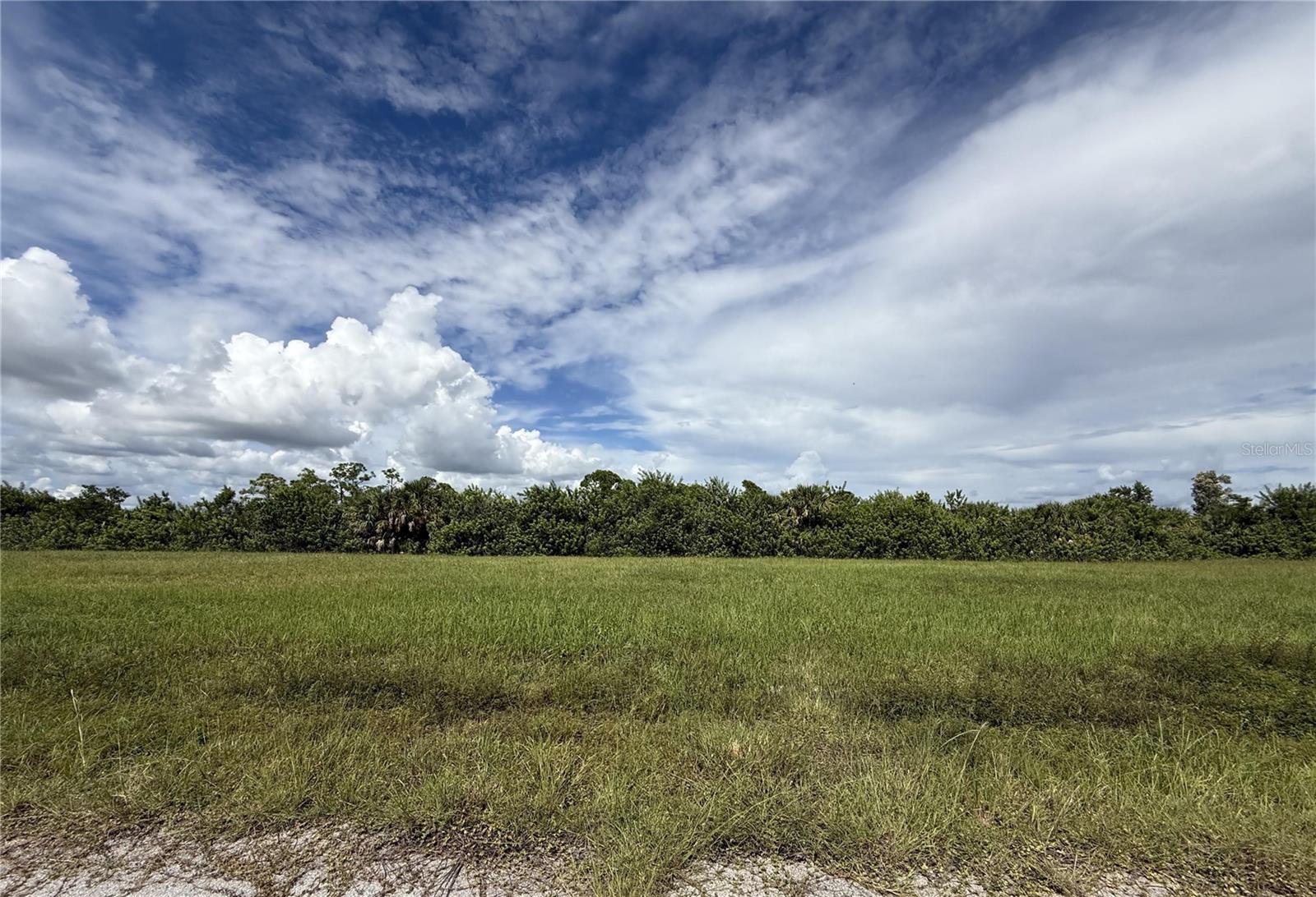 13368 Alewife Ln, Placida, FL 33946