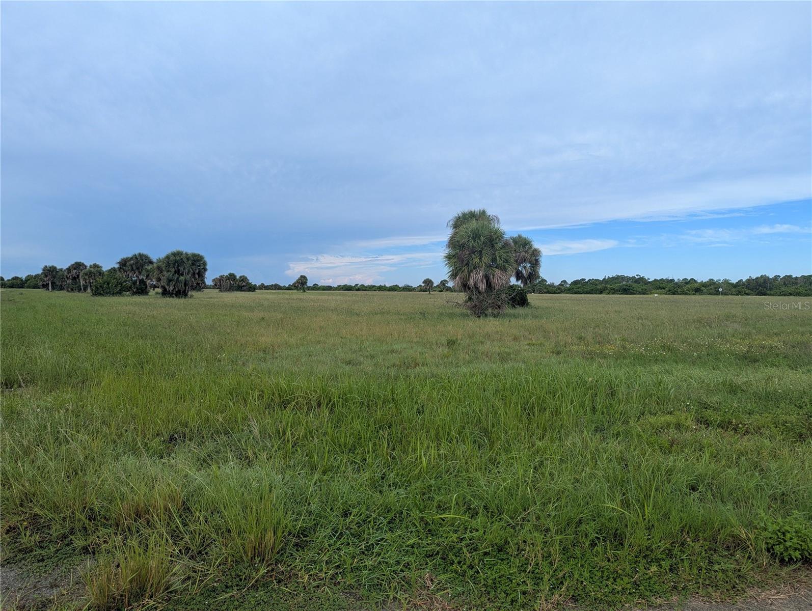 12451 Filefish Ct, Placida, FL 33946