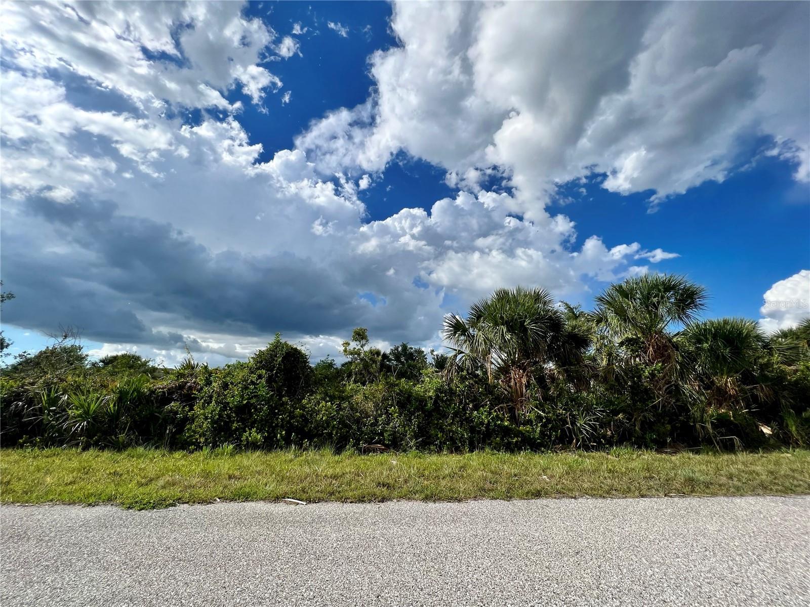 14298 Montmarte Ave, Port Charlotte, FL 33981