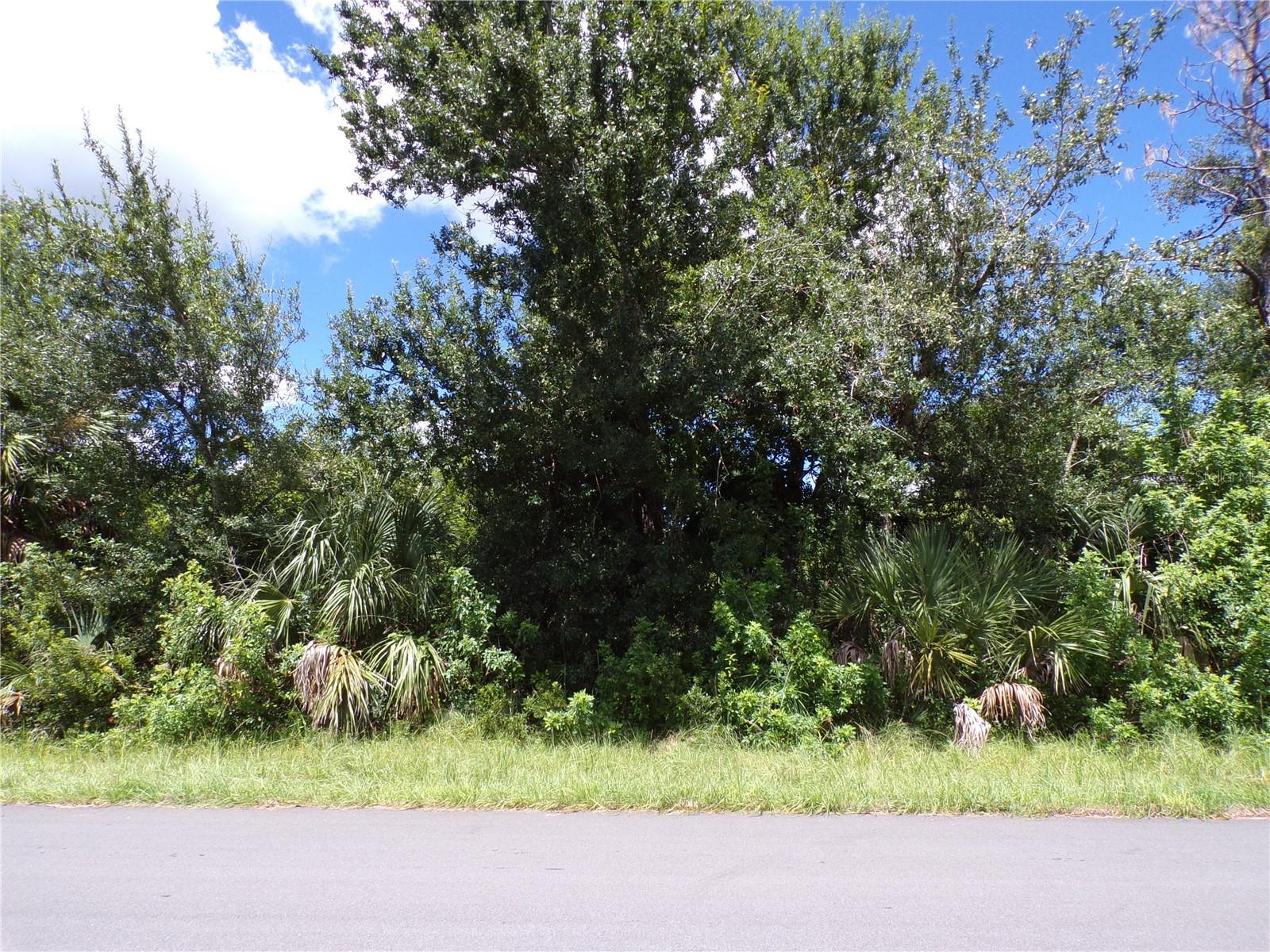 11256 Reinhardt Ave, Englewood, FL 34224