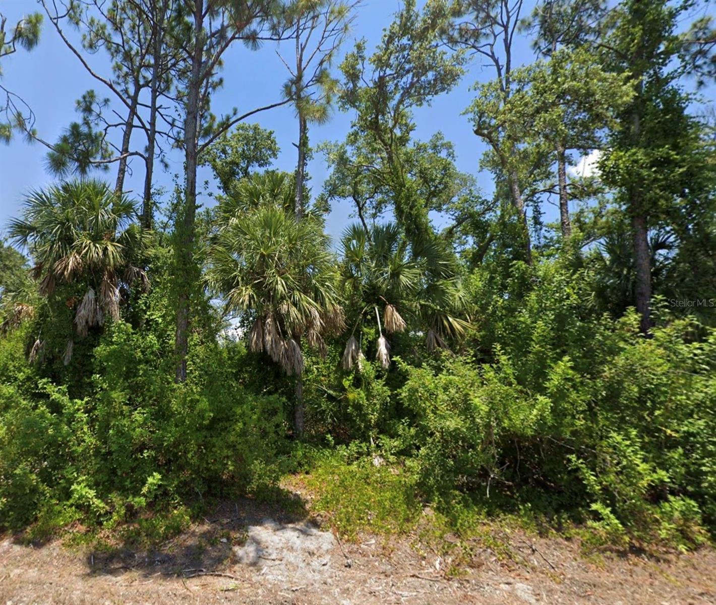 10046 Flat River St, Port Charlotte, FL 33981