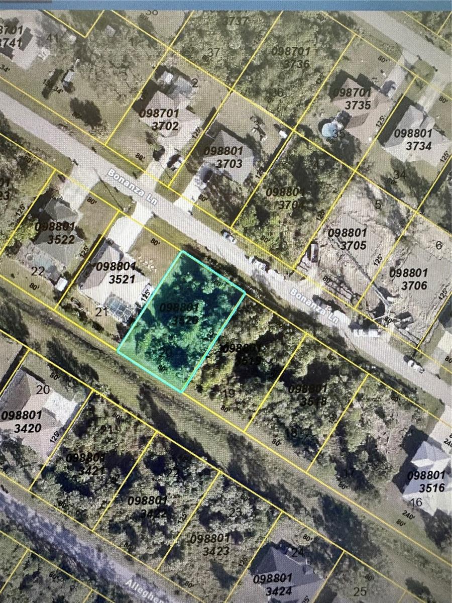 Bonanza Ln, North Port, FL 34286