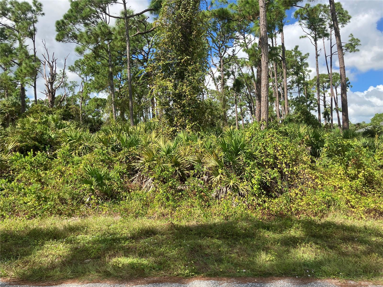 151 Stanhope St, Port Charlotte, FL 33954