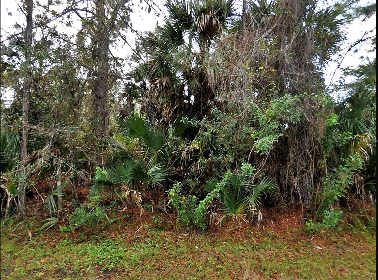 Thomas Ln, North Port, FL 34286
