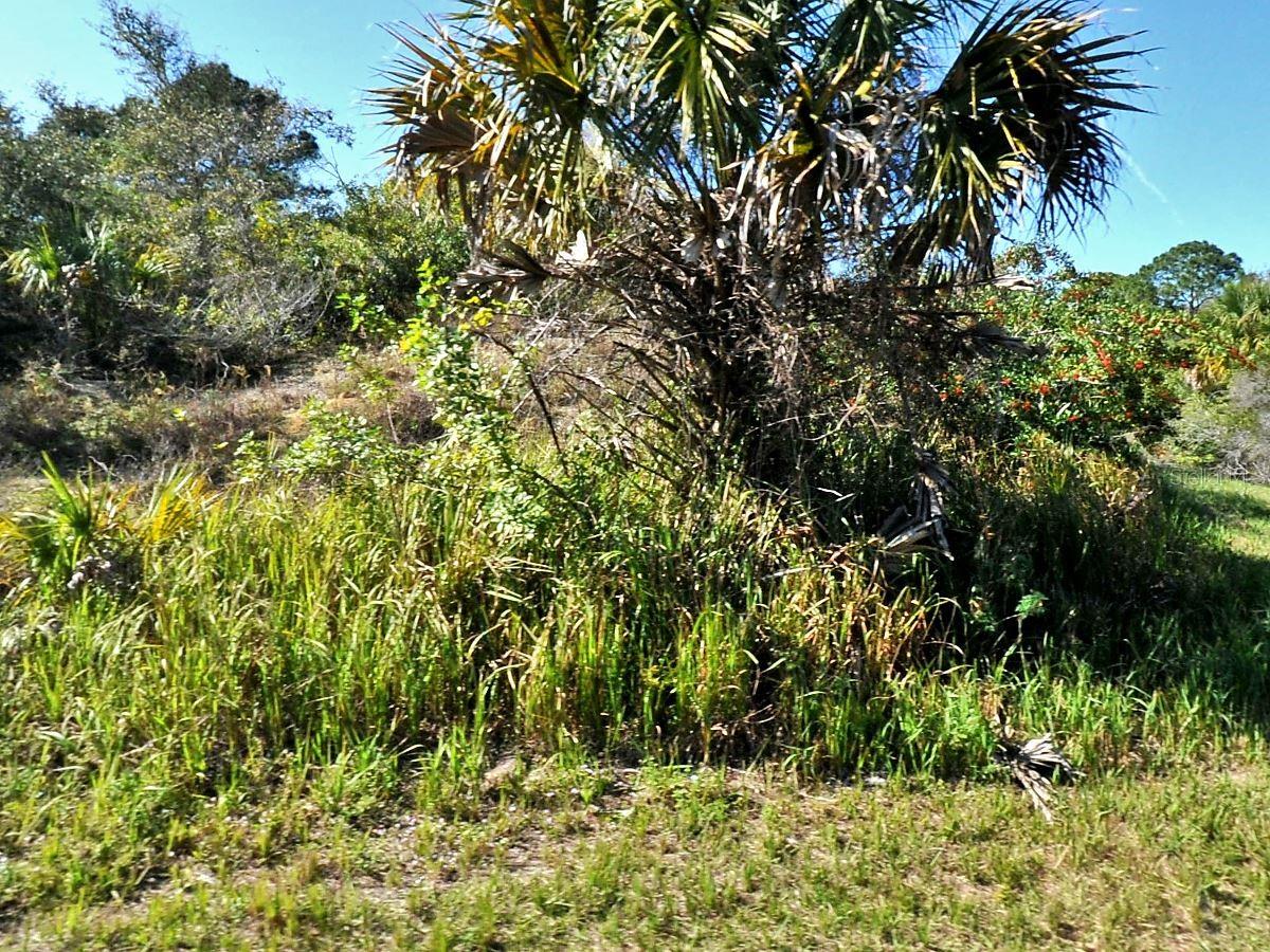 Patio Ter, North Port, FL 34286