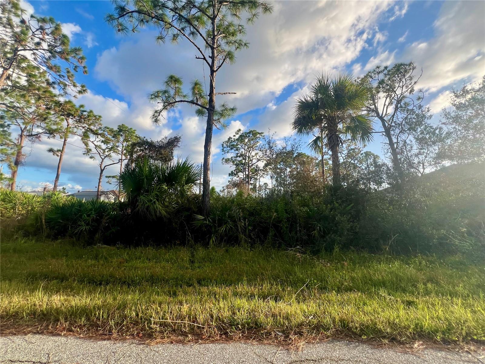 13041 Feldman Ave, Port Charlotte, FL 33981