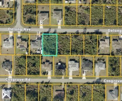 Delong Ave, North Port, FL 34291