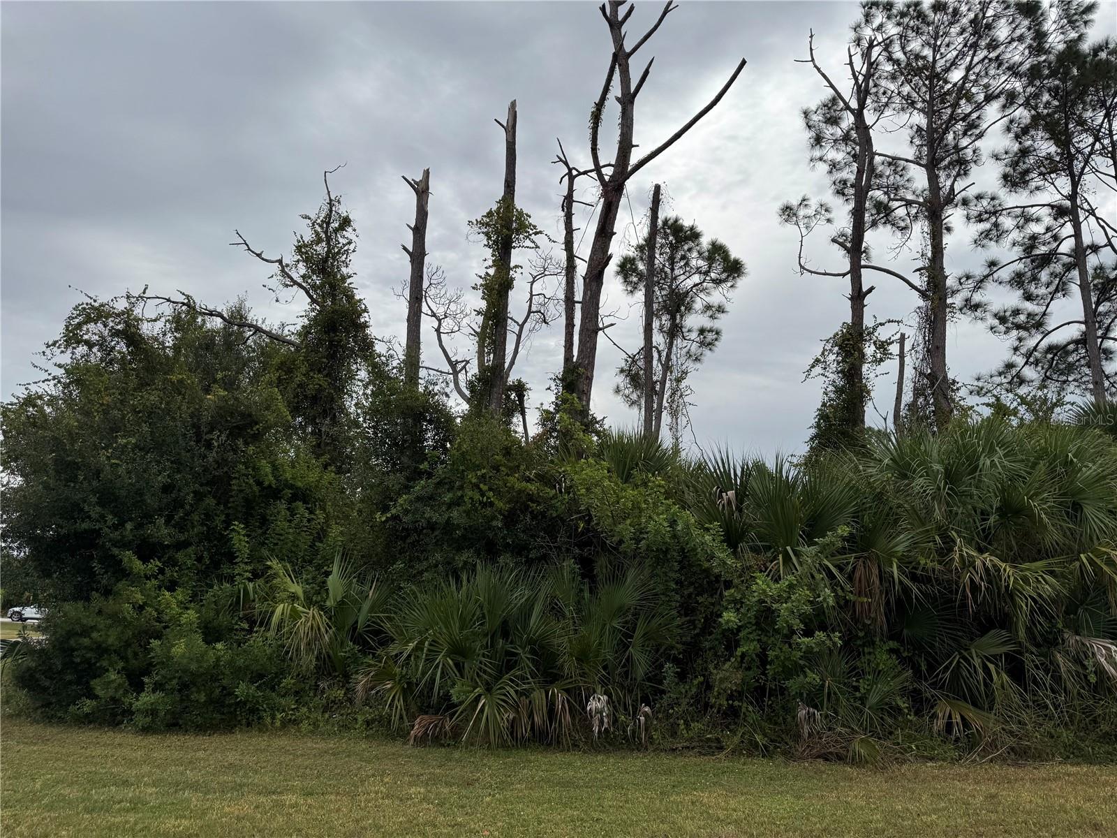 Amnesty Dr, North Port, FL 34288