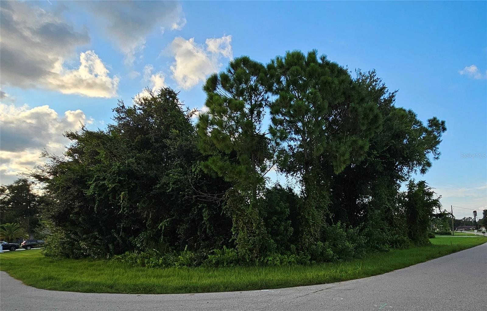 133 Valdiva St, Punta Gorda, FL 33983