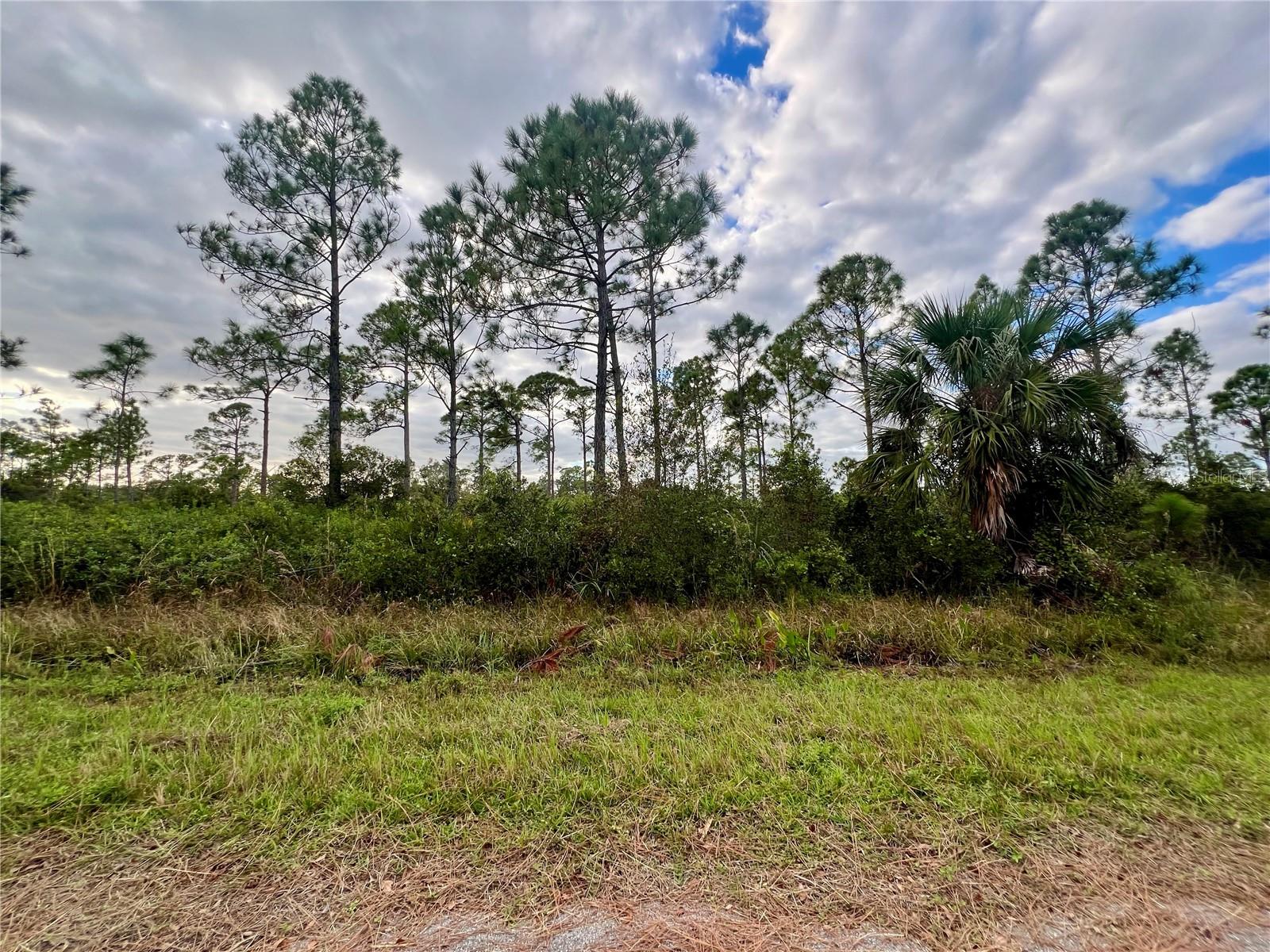 467 Hanscom St, Port Charlotte, FL 33953