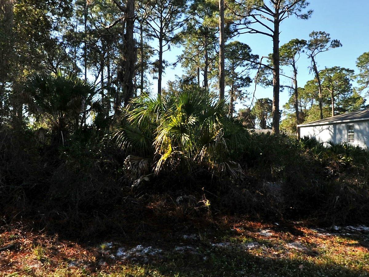 Flagami Ln, North Port, FL 34286