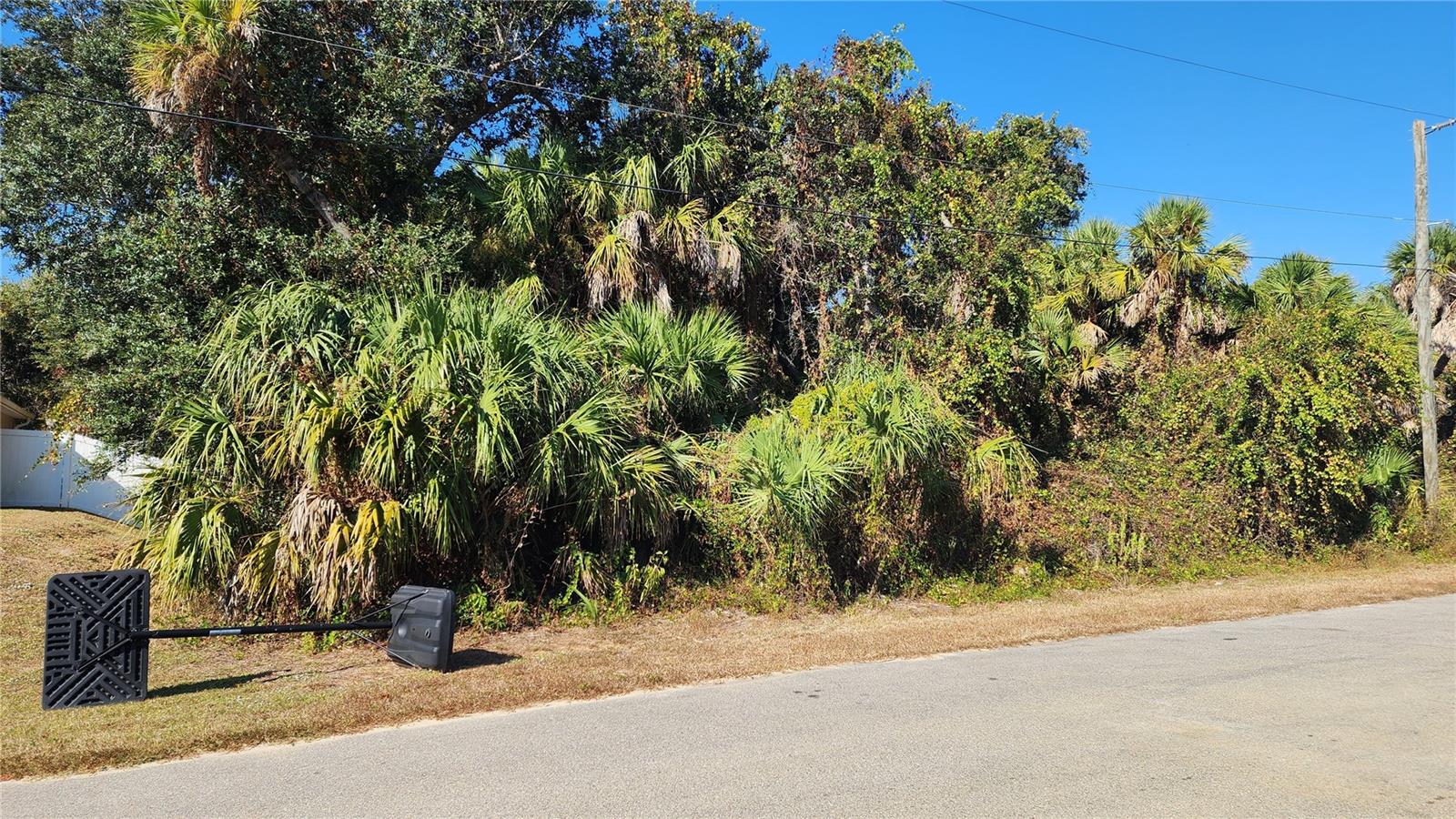 Andy Rd, North Port, FL 34288