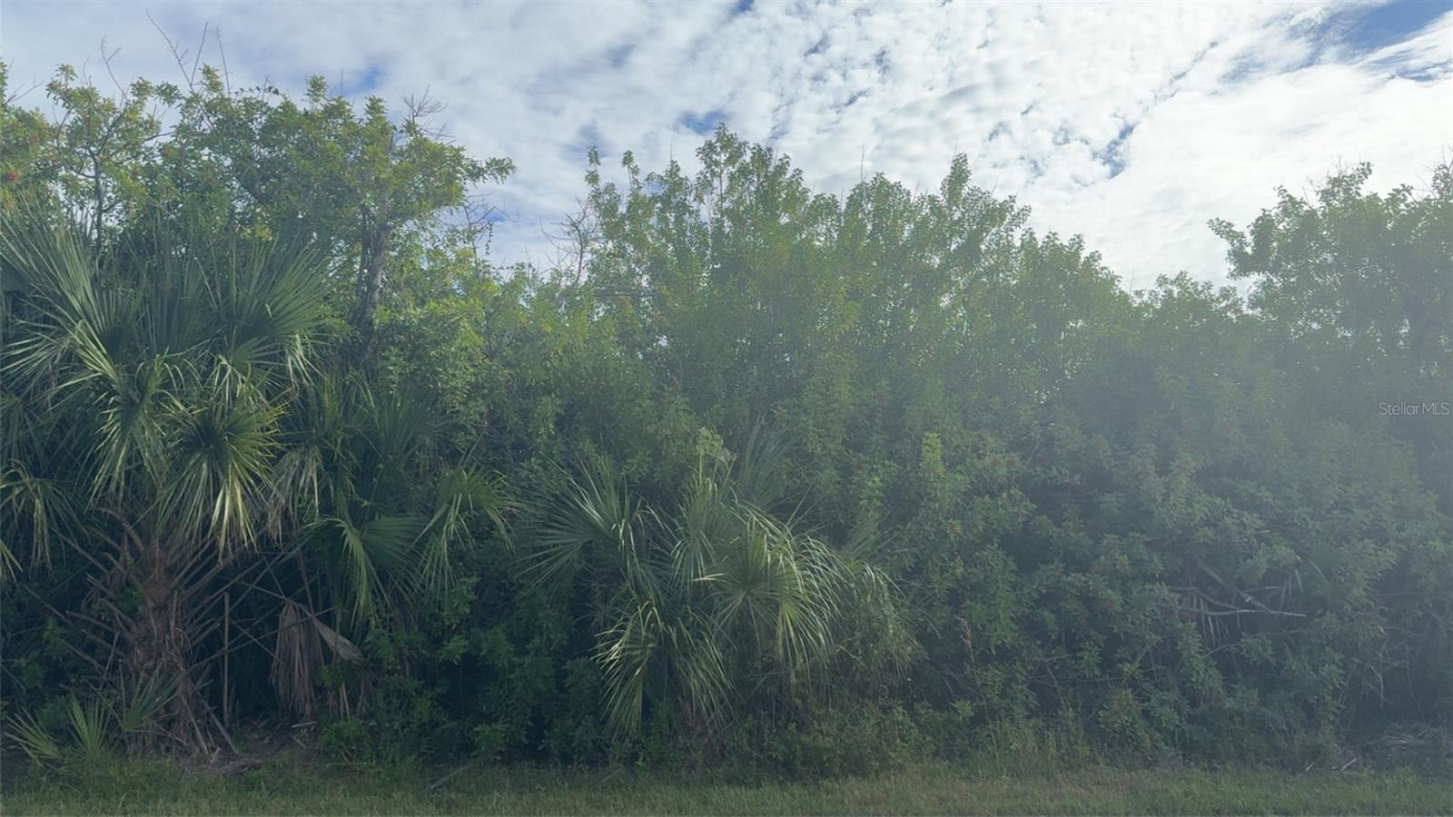 7034 Kaler St, Port Charlotte, FL 33981