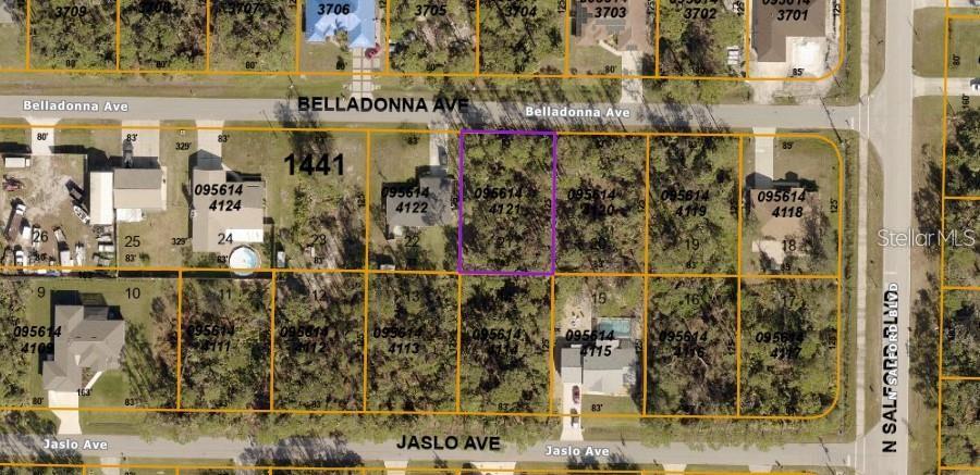 Belladonna Ave, North Port, FL 34286