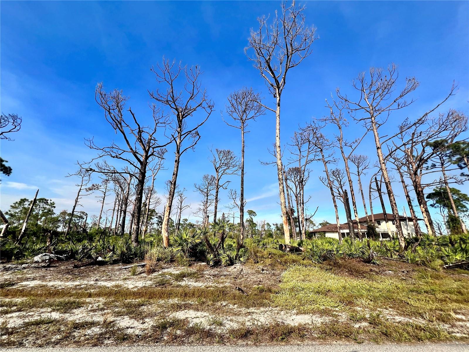 6 Adrift Ct, Placida, FL 33946