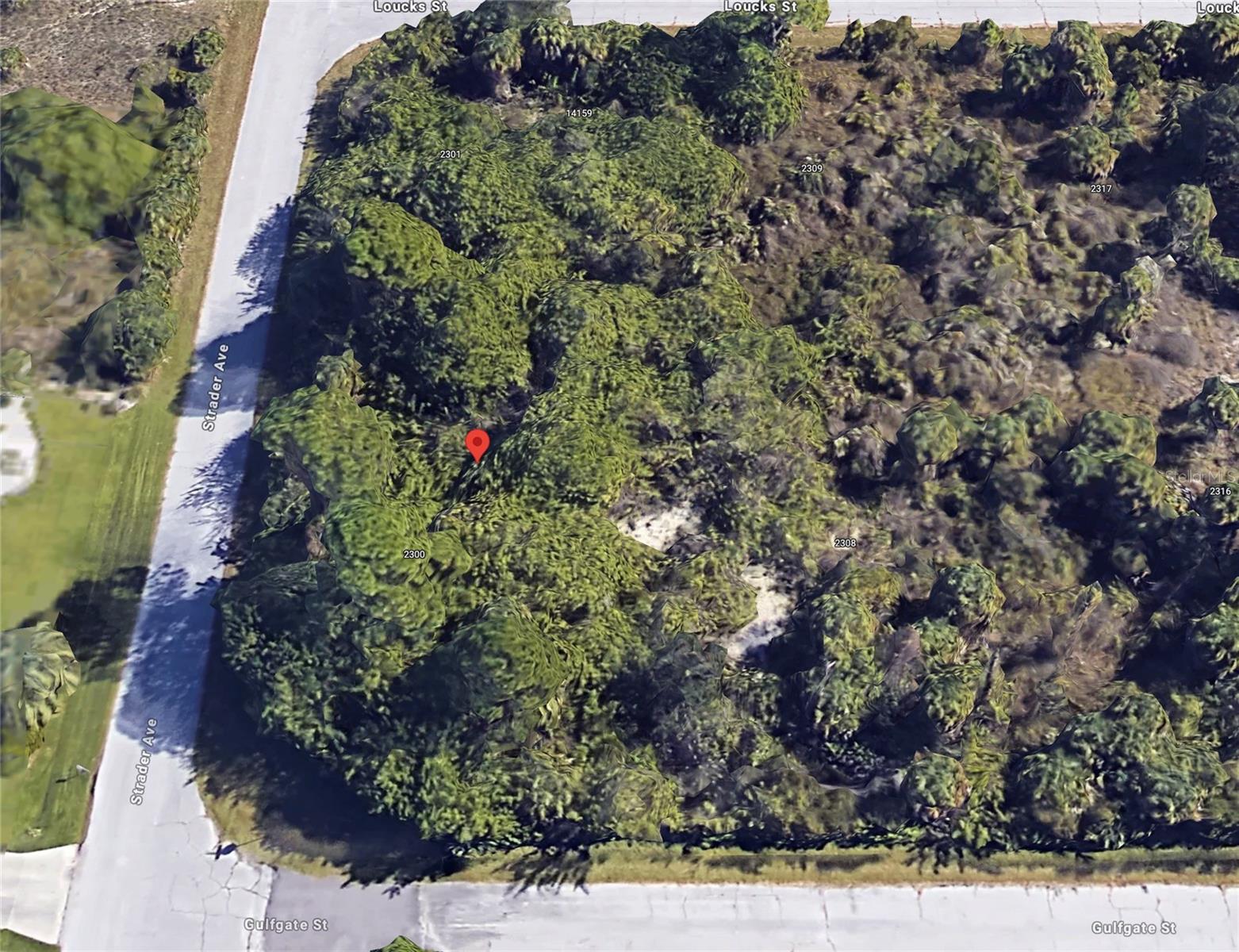 14143 Strader Ave, Port Charlotte, FL 33953