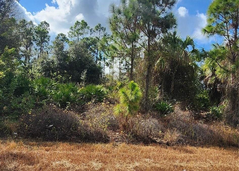 Filbert St, North Port, FL 34288