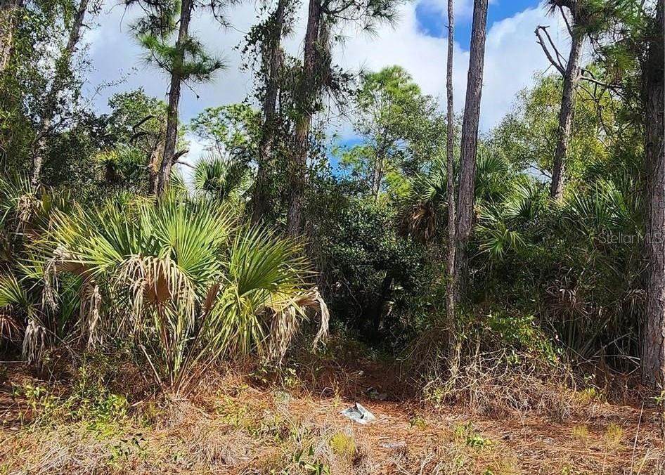 Ananas Rd, North Port, FL 34288