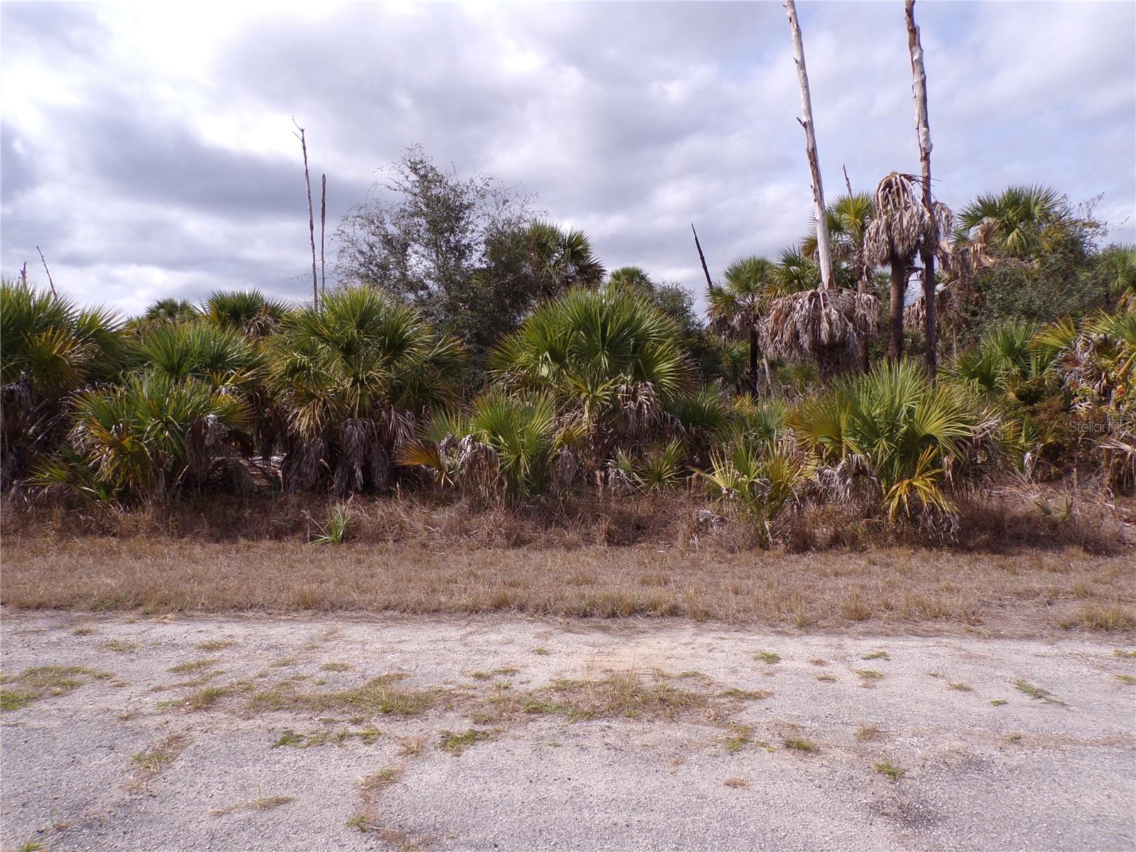 Copernicus Rd, North Port, FL 34288