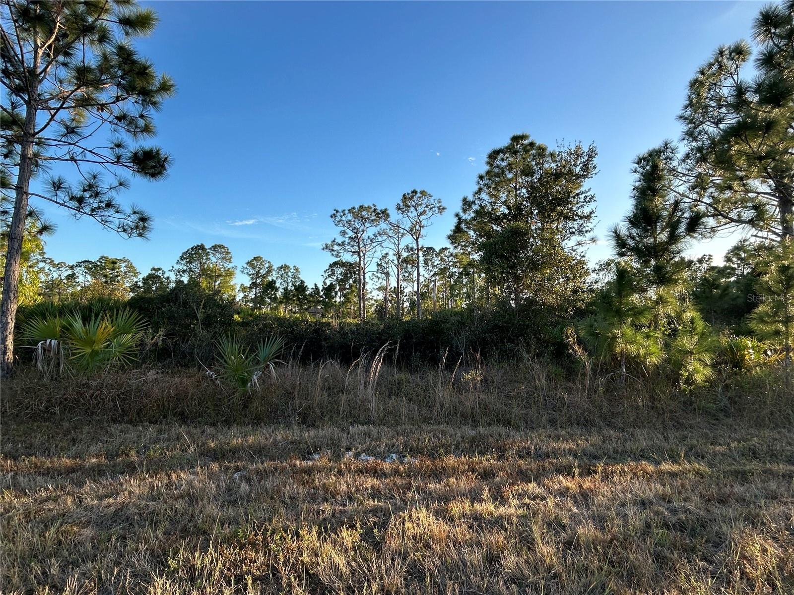 12157 Gisinger Blvd, Port Charlotte, FL 33981