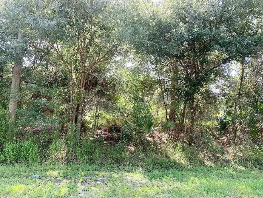 Gainesboro St, North Port, FL 34291