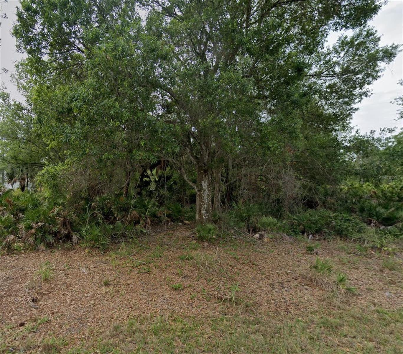 23469 Winthrob Ave, Punta Gorda, FL 33980