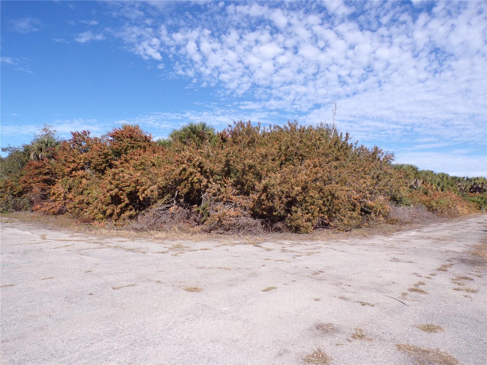 Crimsonglory Rd, North Port, FL 34288
