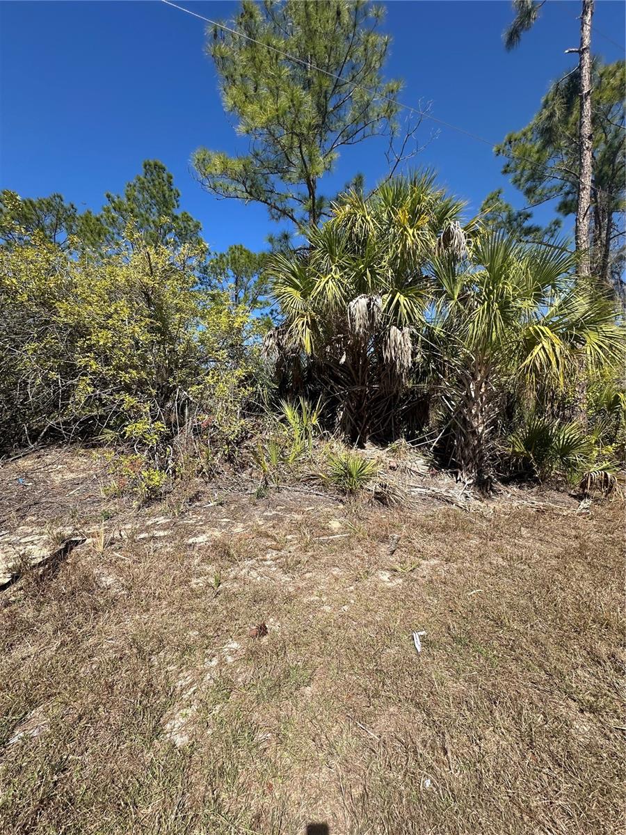 Henning St, North Port, FL 34288