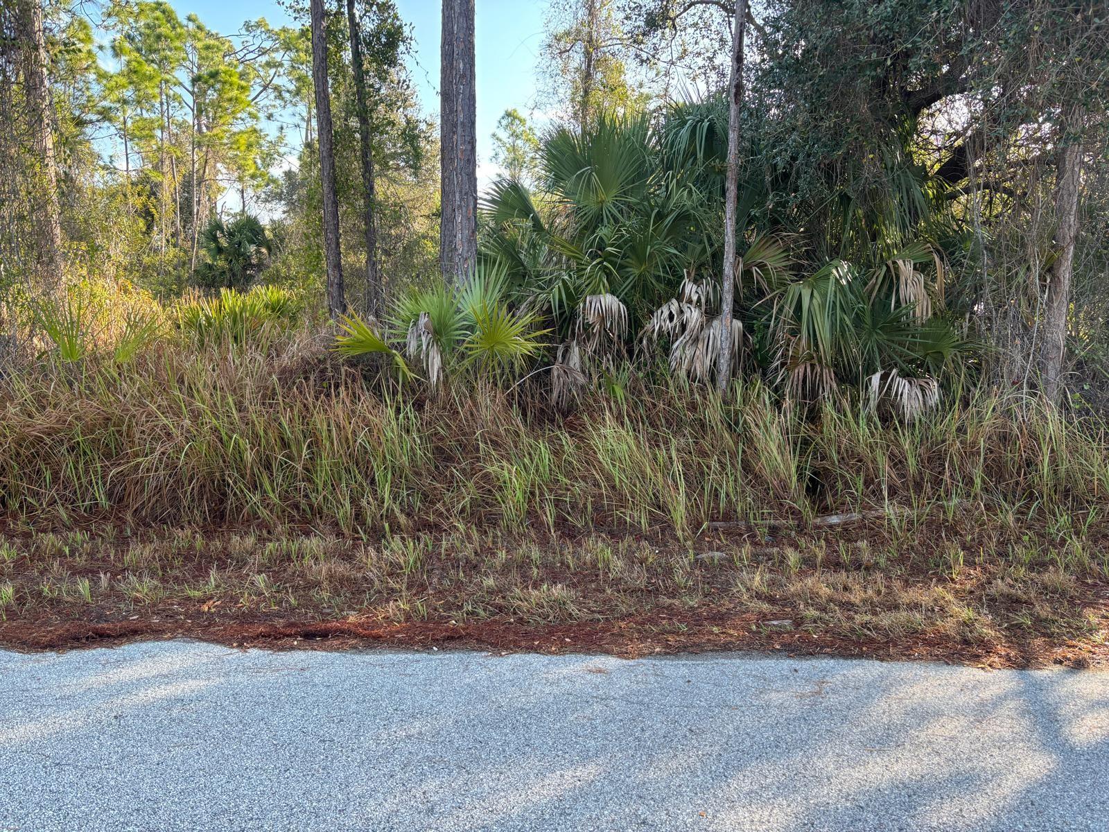 Bismarck Rd, North Port, FL 34288
