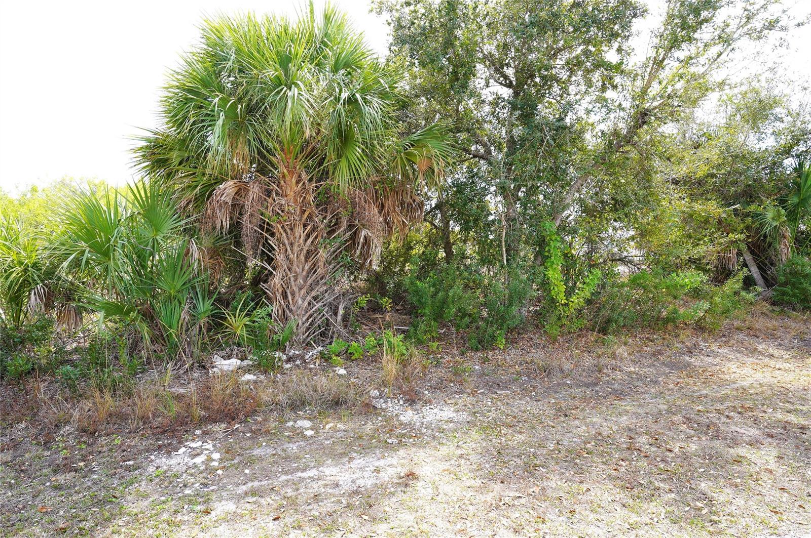4232 Elvington Rd, Port Charlotte, FL 33981