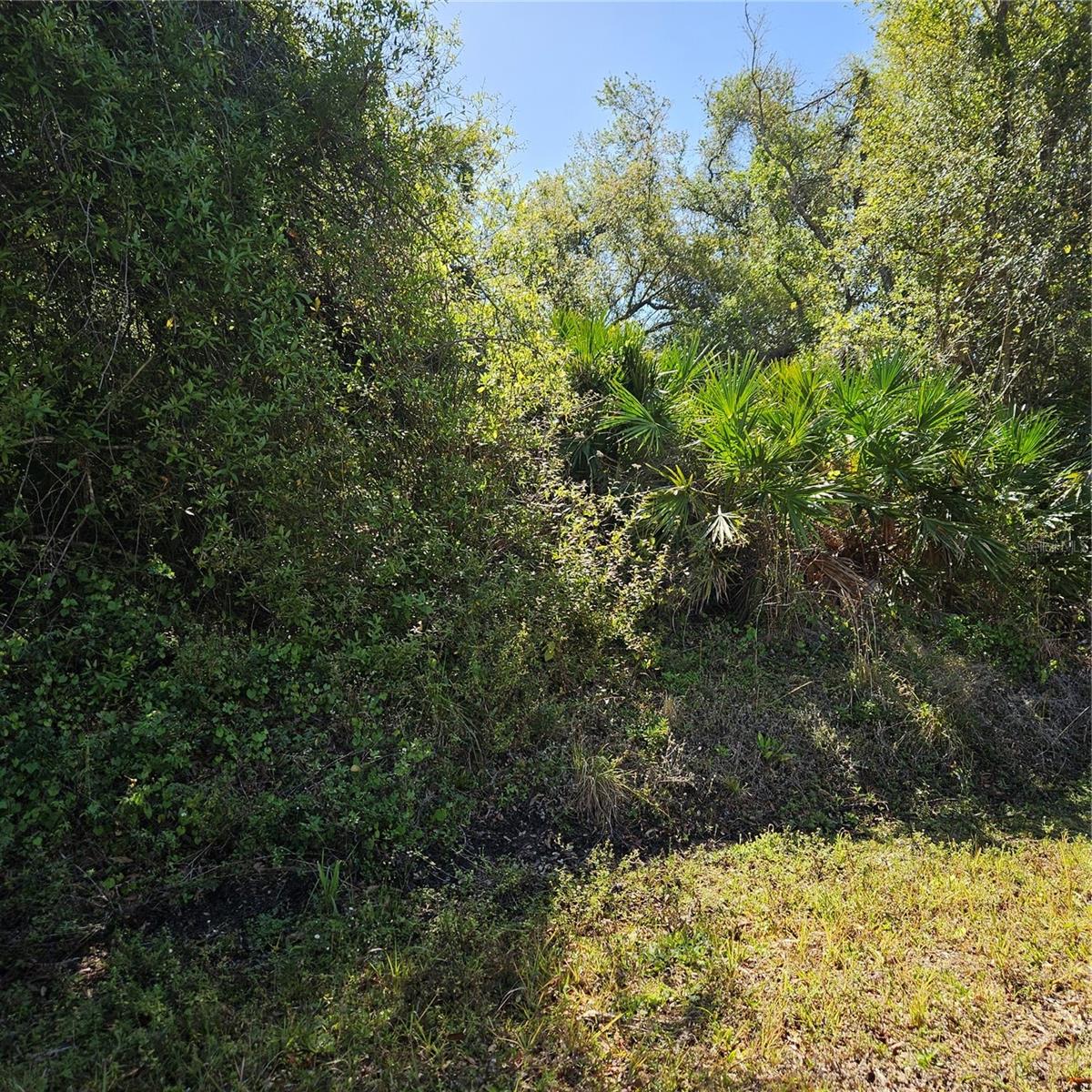 Janaro Rd, North Port, FL 34288