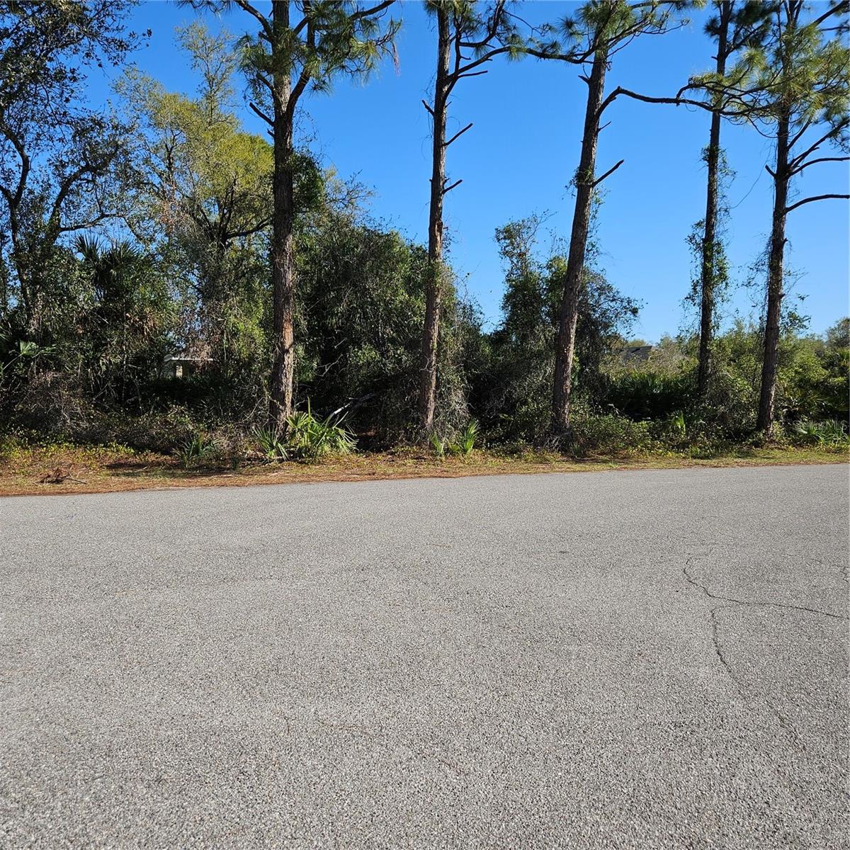 Janaro Rd, North Port, FL 34288