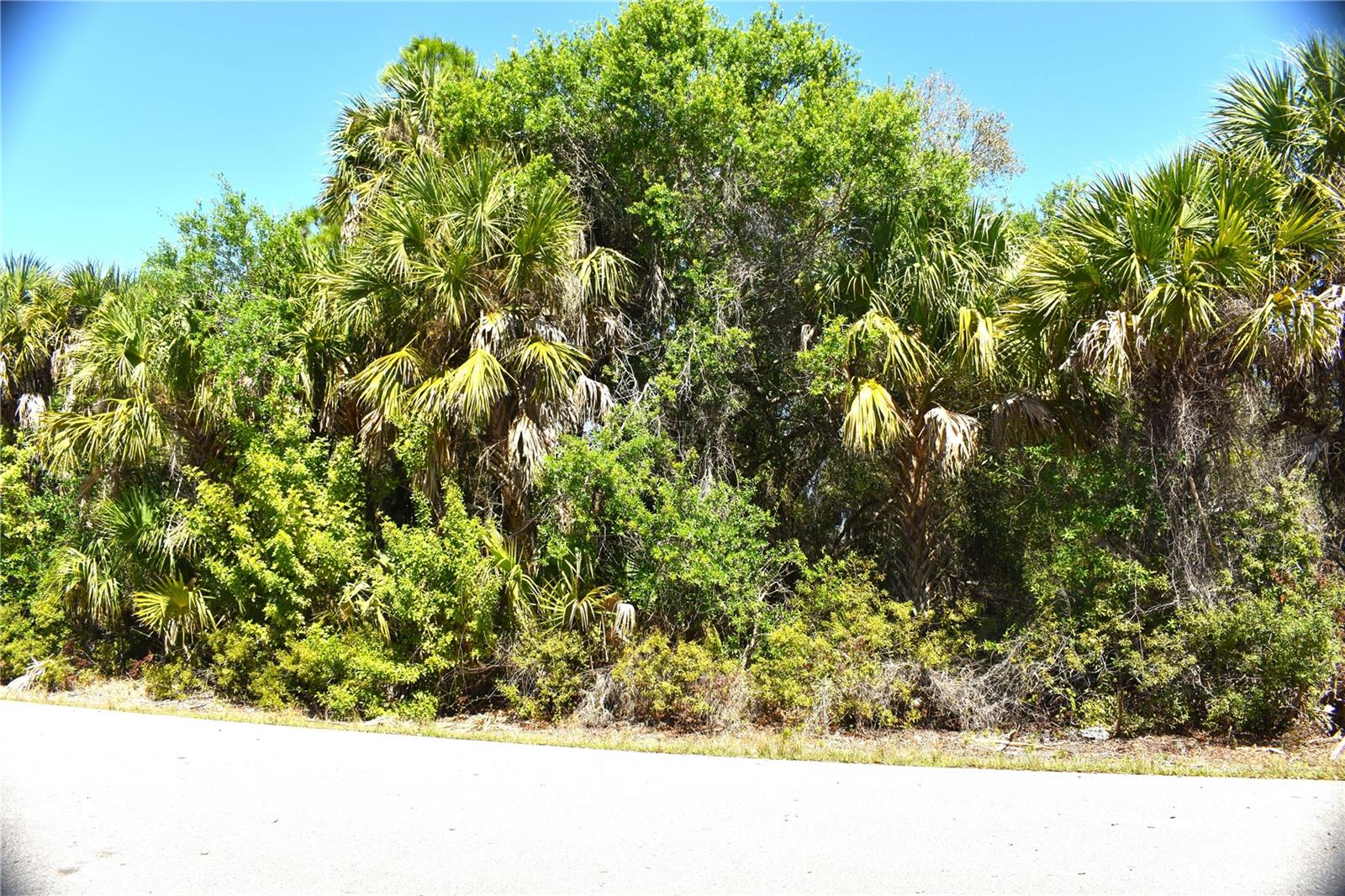 13358 Drummond Ave, Port Charlotte, FL 33953