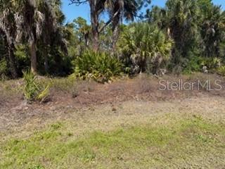 26232 Deer Rd, Punta Gorda, FL 33955