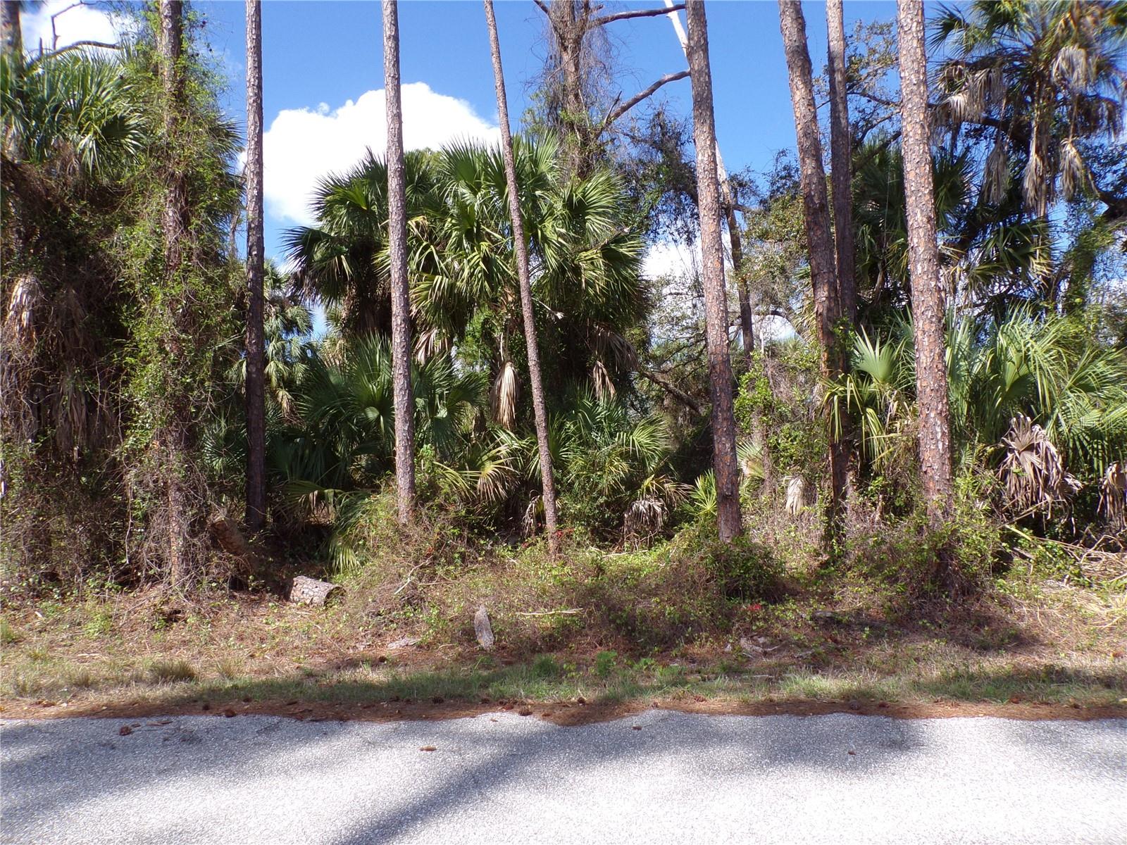 107 Mercer St, Port Charlotte, FL 33954