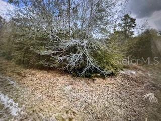 13274 Caloosa Dr, Punta Gorda, FL 33955