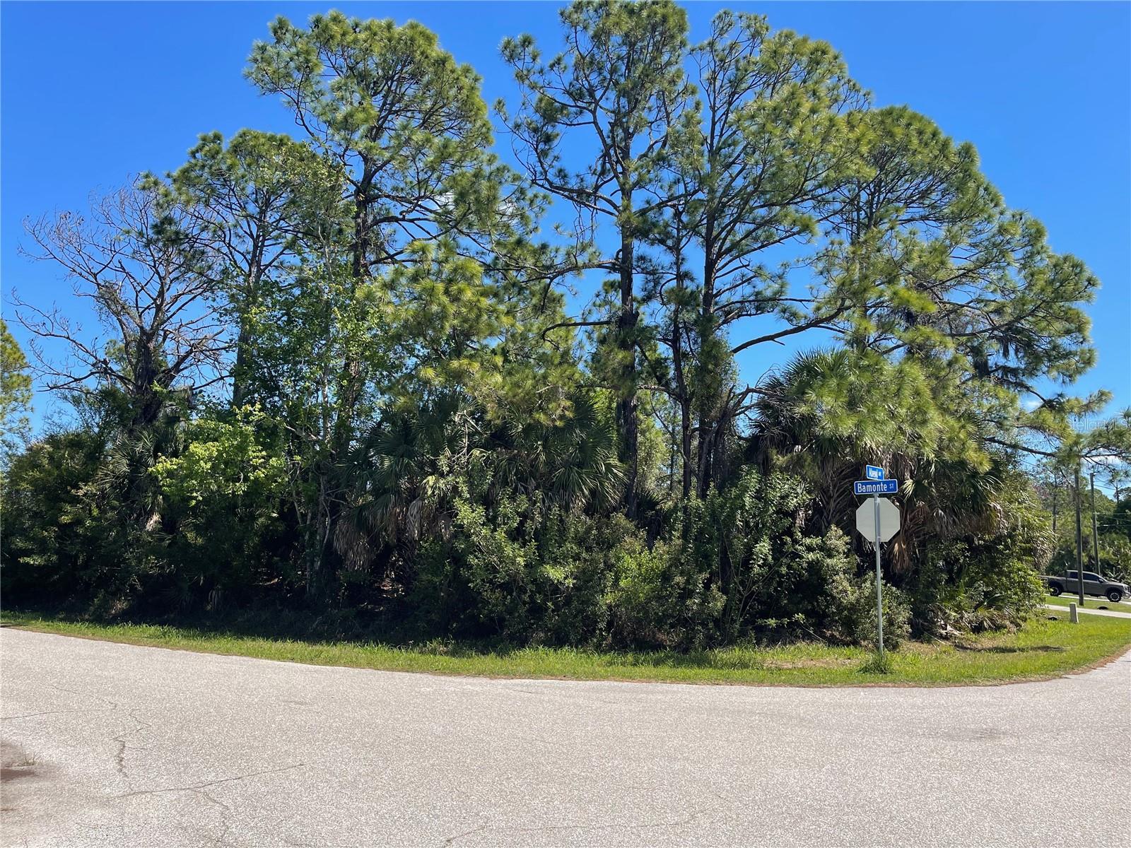 Lot 6 Bamonte St, North Port, FL 34286