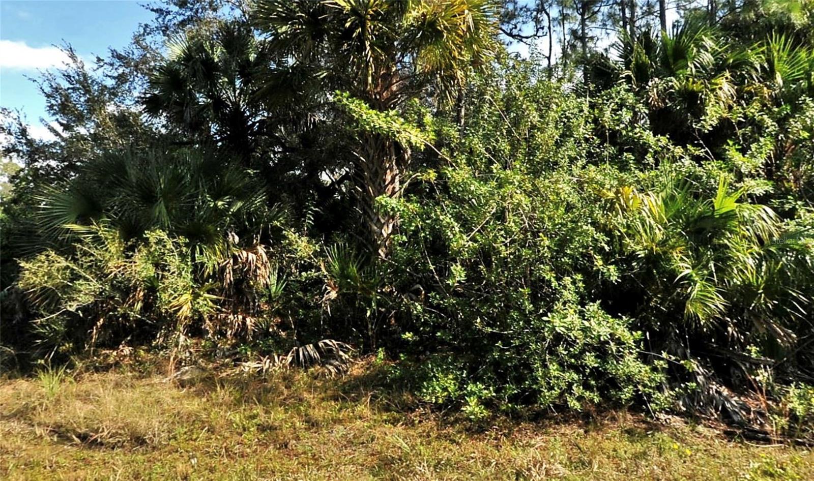 Bolus, North Port, FL 34288