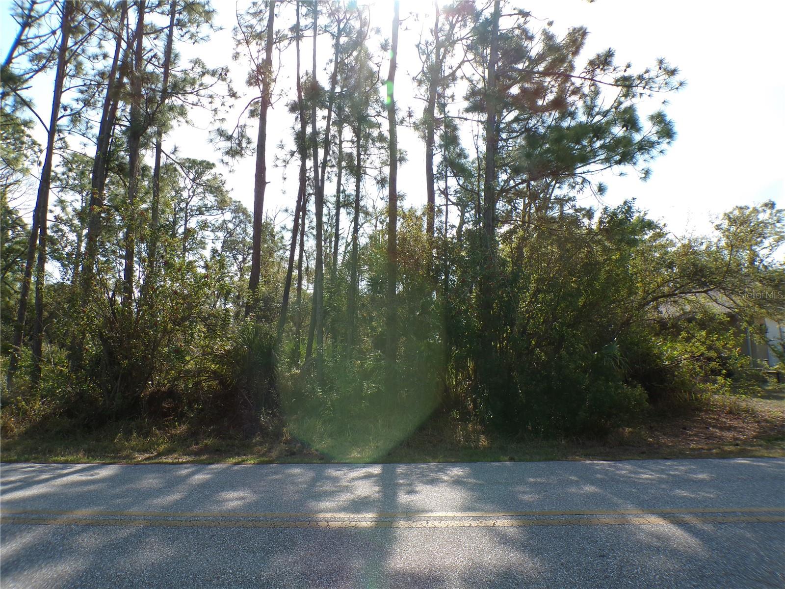 13487 Eisenhower Dr, Port Charlotte, FL 33953