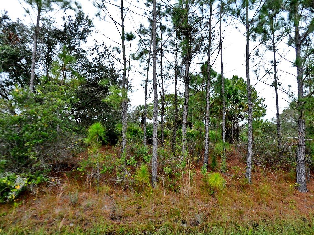 Loffreda Lot #8 Ave, North Port, FL 34291