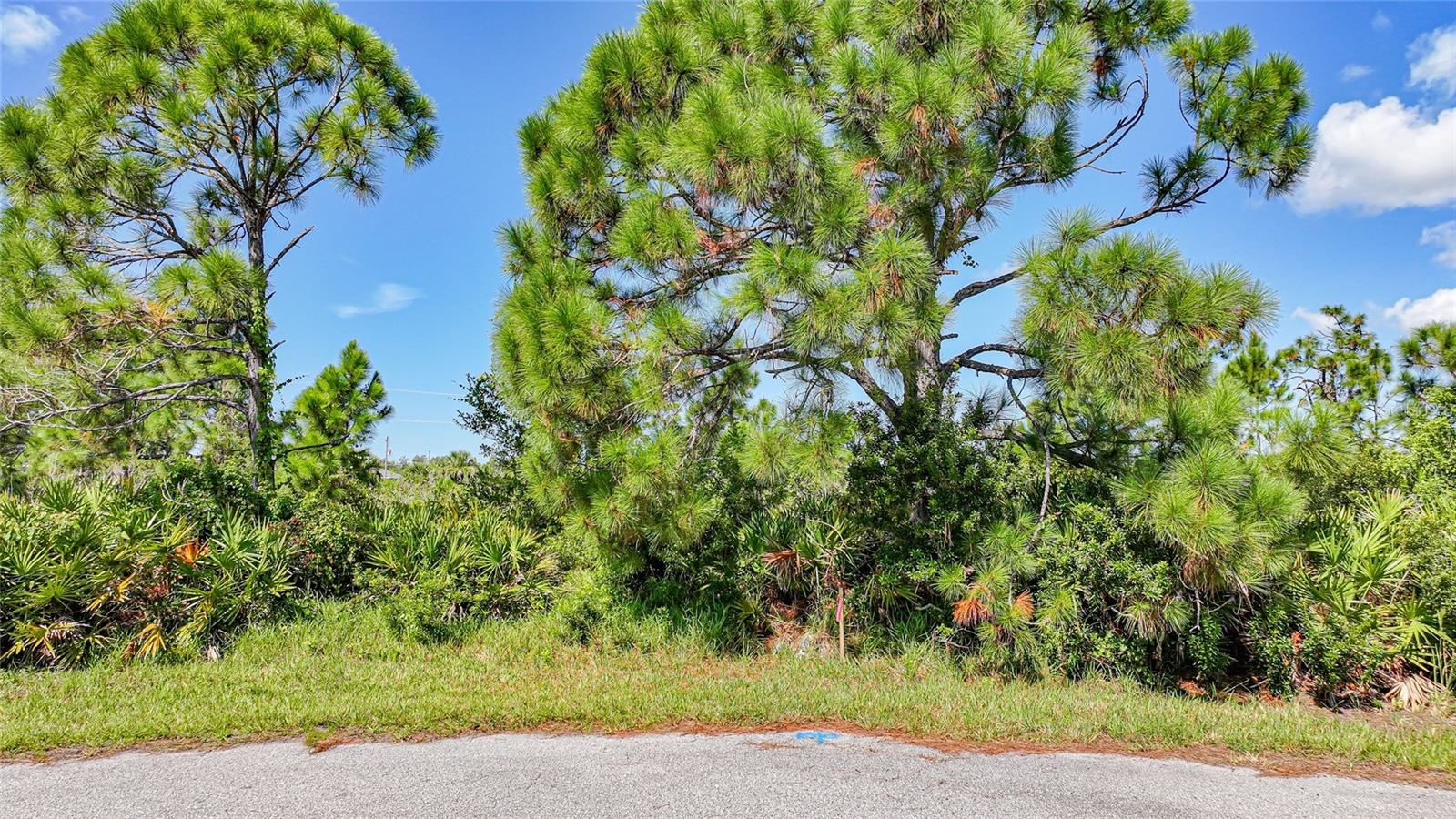 12 Dog Ct, Placida, FL 33946
