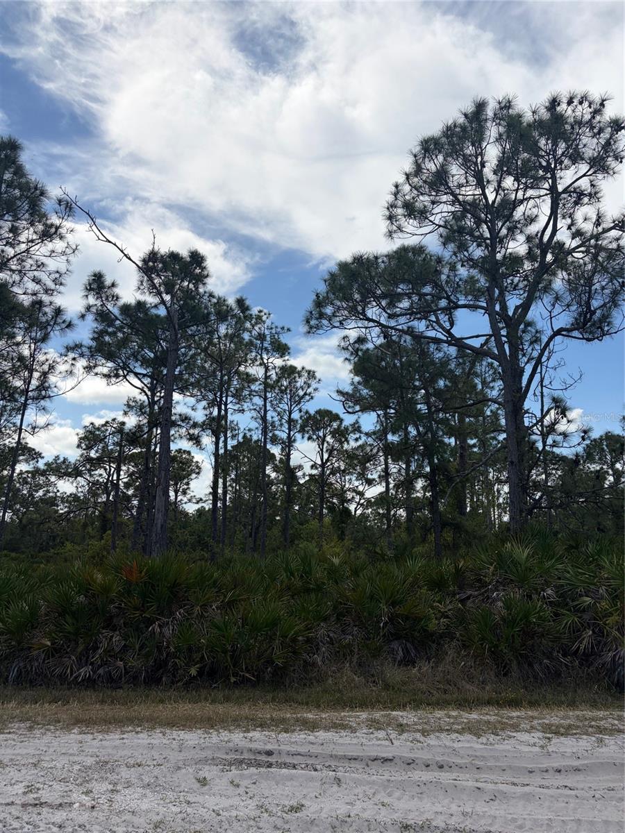 28078 Ramiro Dr, Punta Gorda, FL 33955