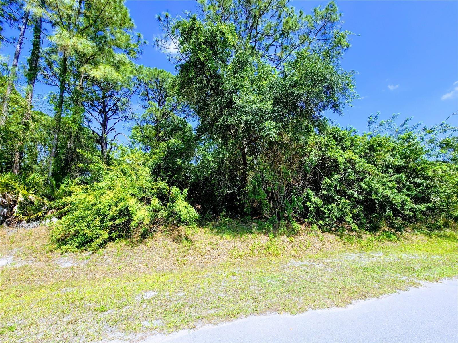 Delmonte St, North Port, FL 34288