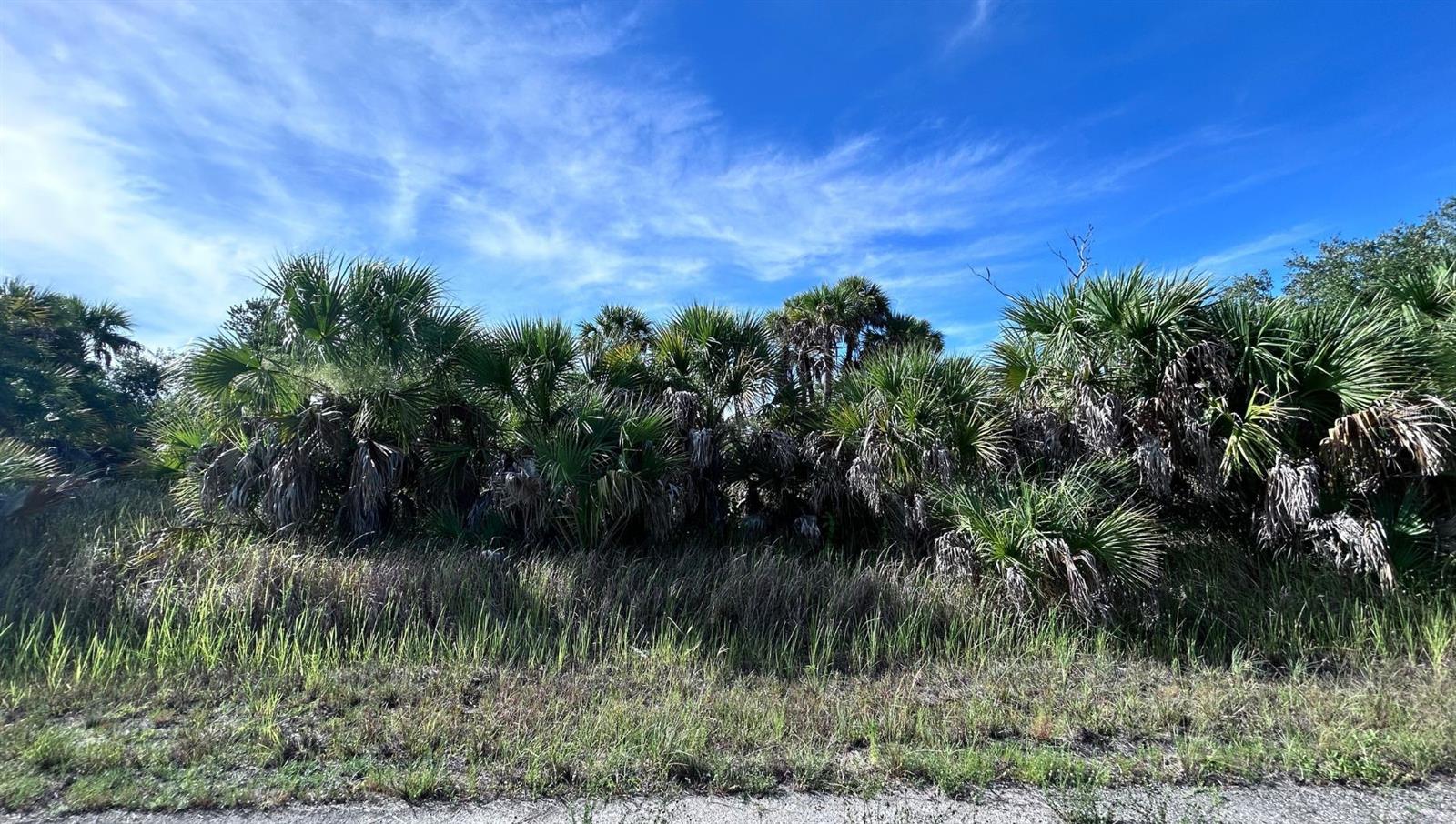 Crimsonglory Rd, North Port, FL 34288