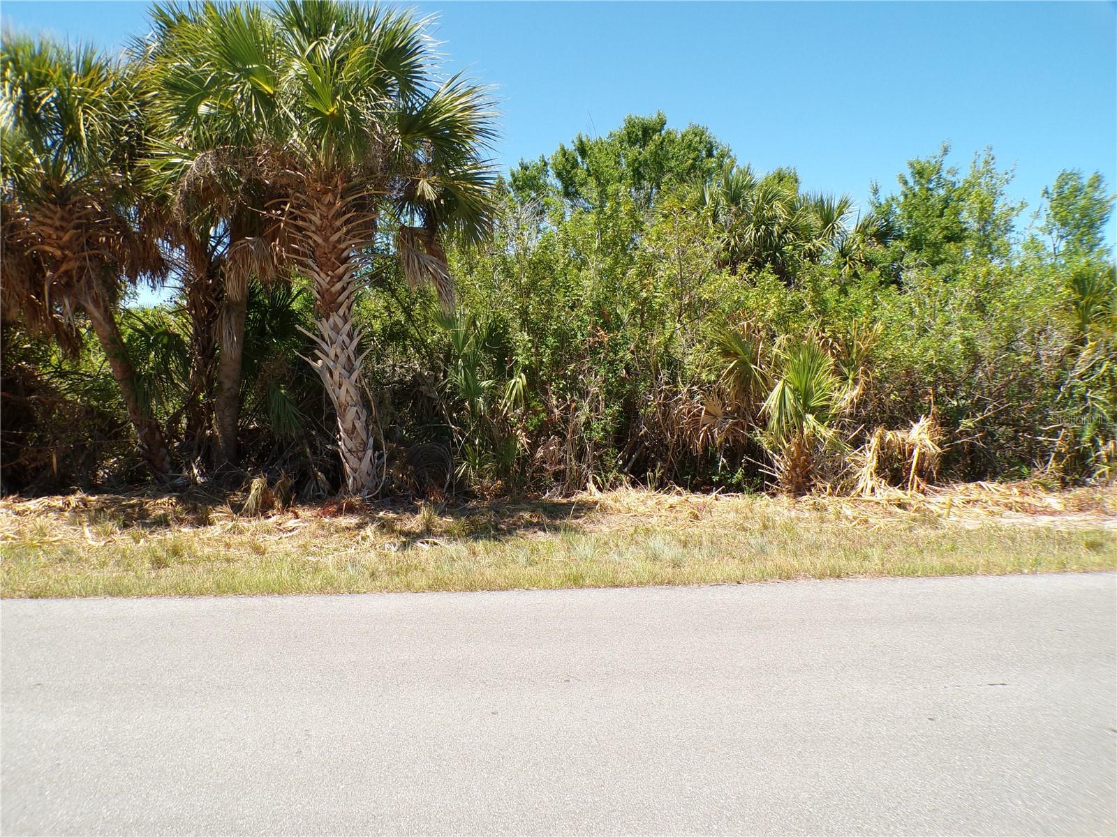 12128 Van Gough Ave, Port Charlotte, FL 33981