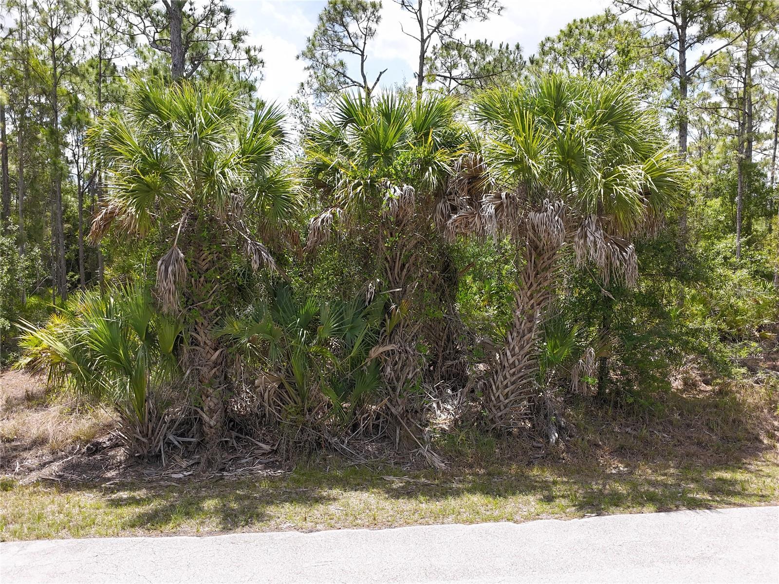 12226 Ripple Dr, Punta Gorda, FL 33955