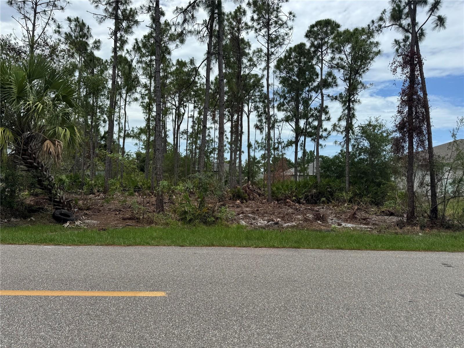 23369 Avacado Ave, Punta Gorda, FL 33980