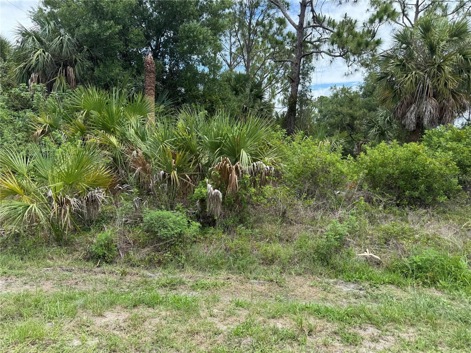 22404 Seyburn Ter, Port Charlotte, FL 33954